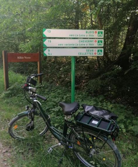 布鲁瓦Passage Du Cygne公寓 外观 照片